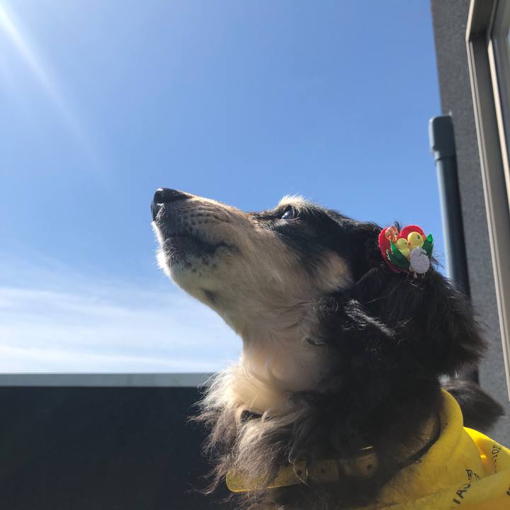 00f5c5e5 ada9 42f4 9415 48d73a0bfcb7 1620260354860