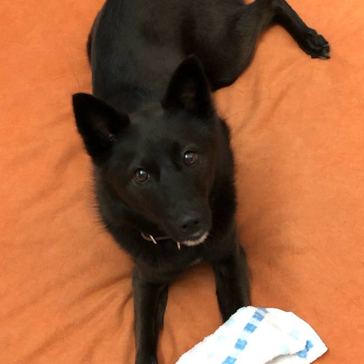 00f5c6db 00fb 48b0 9553 206a6fb09219 1563494298720