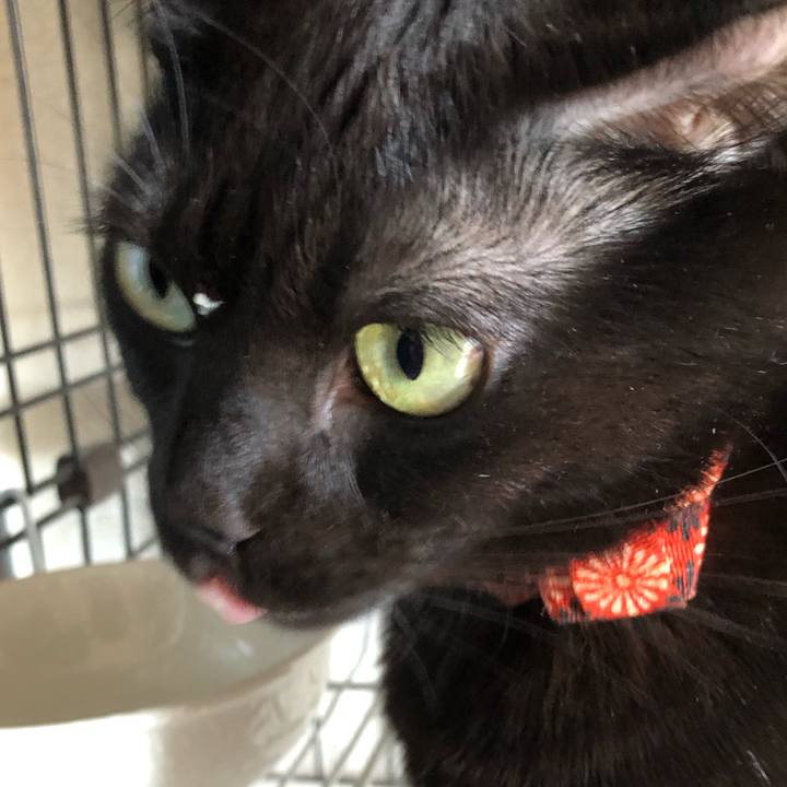 00f61378 cc2b 4812 8e33 a45699c191e5 1544839640772