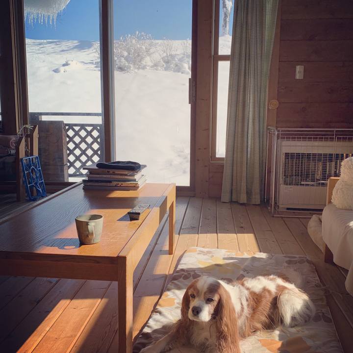 00f635b5 d680 401d 86cd 063fcfd7e1f5 1581044782395