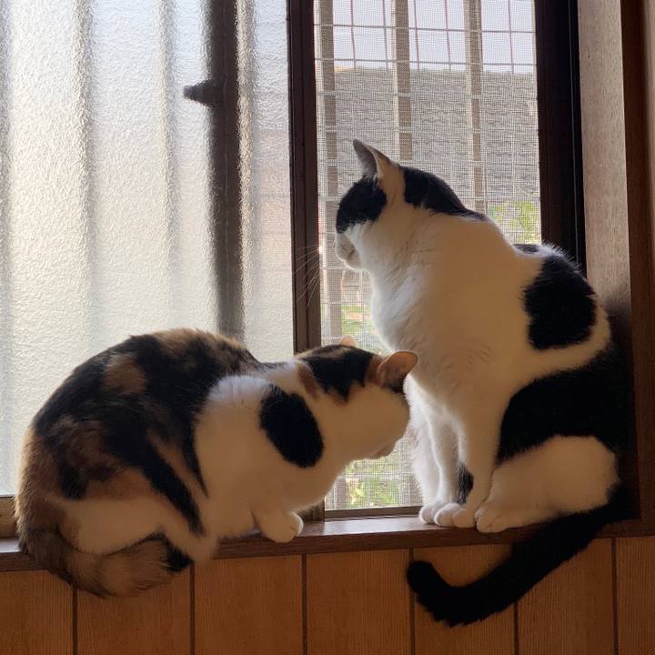 00f668ab 8ffd 40a6 a912 9d120ff8fea3 1552788630273