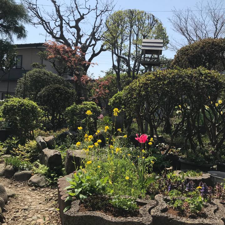 00f6818c 734d 4214 800b f8ad7dfe36d9 1524355332043