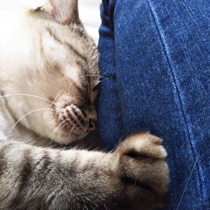 00f693d7 947e 4167 aea0 da8dbb13aab6 1564795442926