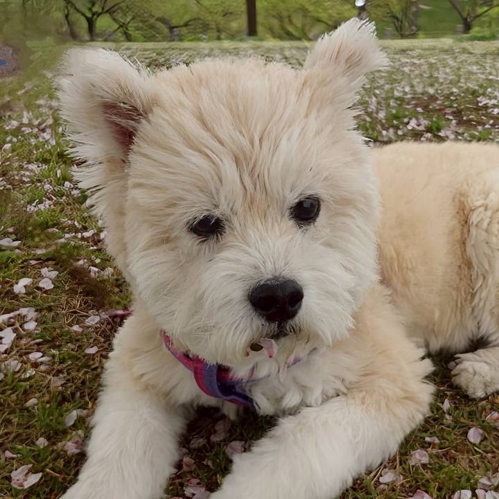 00f69b4d 42bc 4d46 b35a a06c4915b238 1744462134078