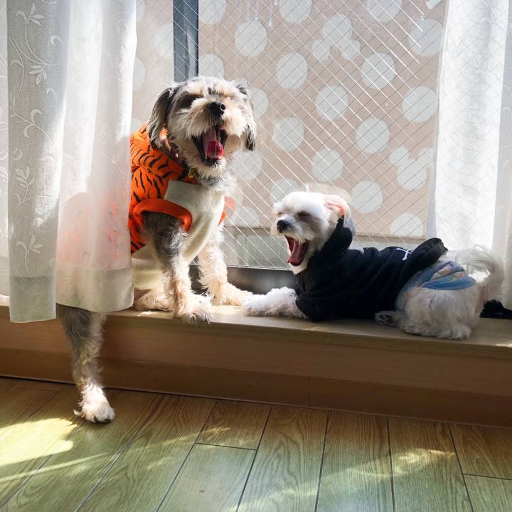 00f6b518 c259 4b2a 9a06 6526647d5837 1551155626812