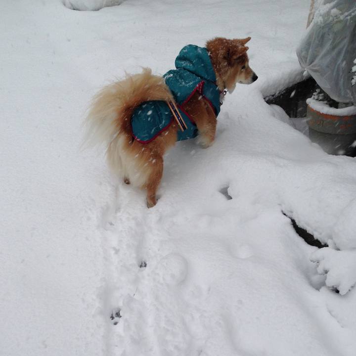 00f6babc a986 4491 9221 b7efa7f3f5bc 1517390302478