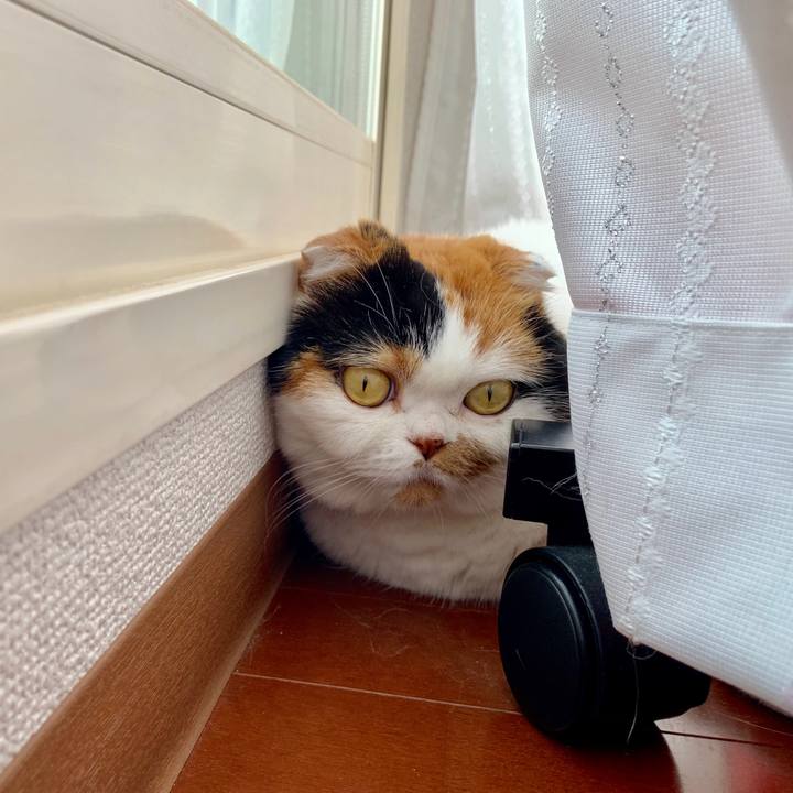 00f6d636 951f 45f2 833f 171341a4a1b2 1564438753007