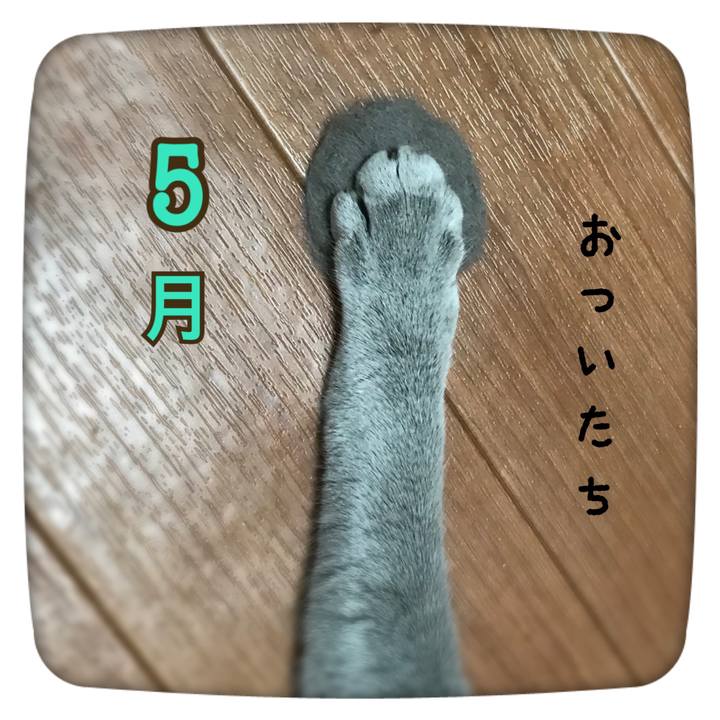 00f6d911 63e5 4e08 8ca1 61f9c94651ff 1525132668823