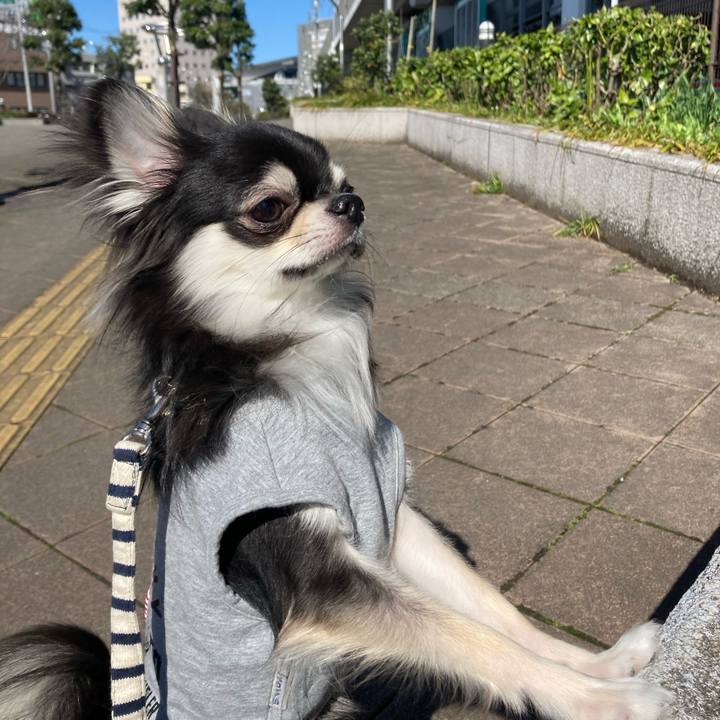 00f717f7 a6a4 4907 afc7 362084520af5 1615702879591