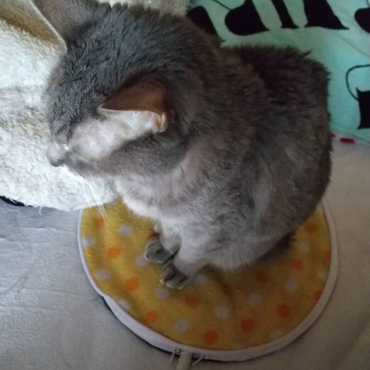 00f72bdf f0f6 4214 9730 518039b9af0b 1696716619804