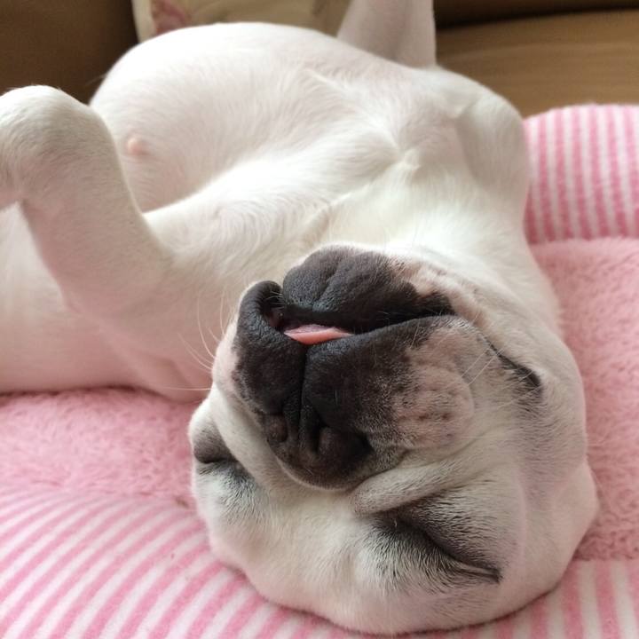 00f798ad ac7f 4f69 ac7a d4b36d58ace0 1530628108133