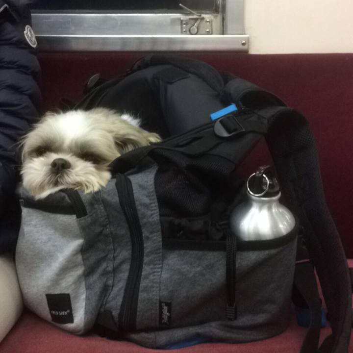 00f7b7b4 2fcb 465d 9326 ac4131fd3f3e 1526047540847