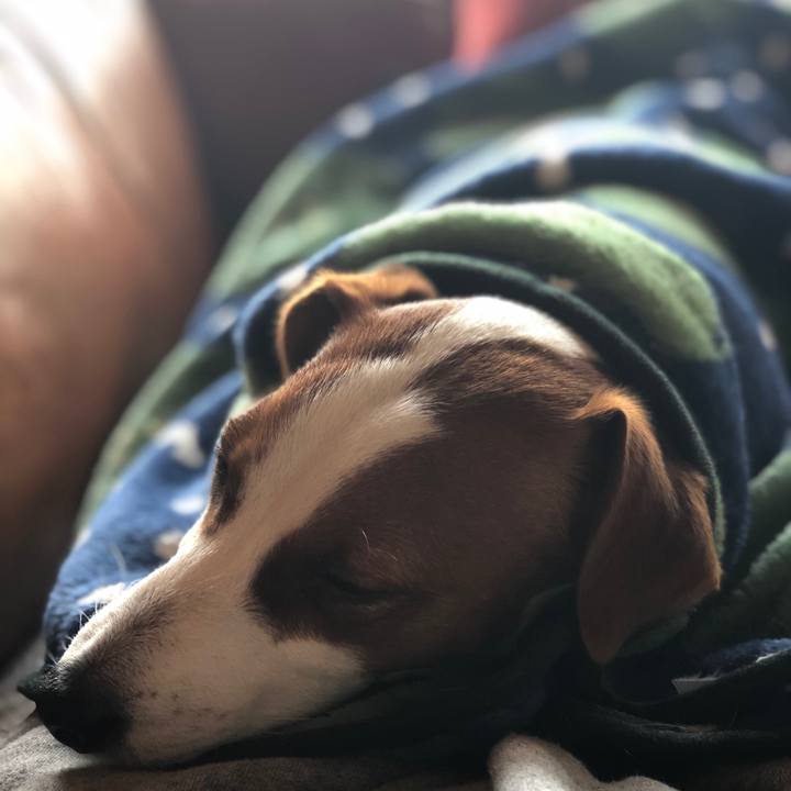 00f7ea08 728a 4ec5 9c67 645303275a01 1547027892744