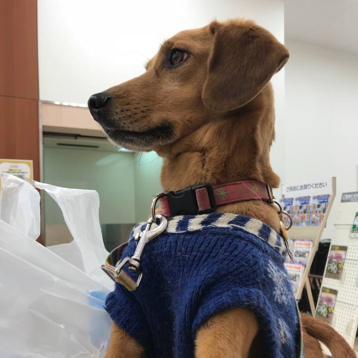 00f803c7 6045 458c 9f72 f3056d3539f5 1518521219921