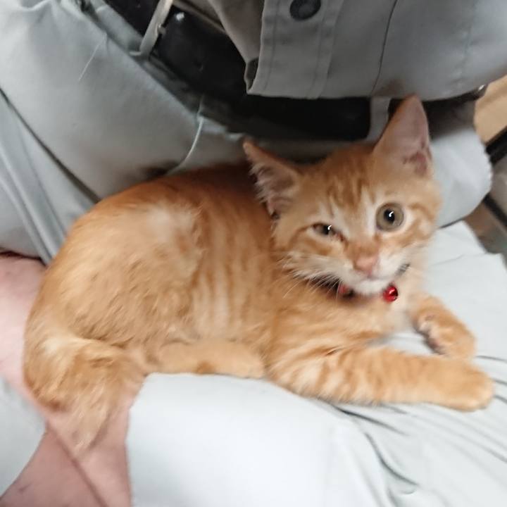 00f8803d 2f4d 4801 b37d f4259ba3c637 1628384956192