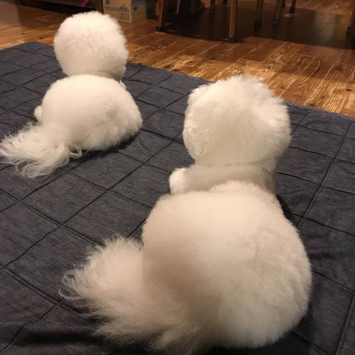 00f88757 1595 44bf 84db 79b542b6c0ce 1535792898630