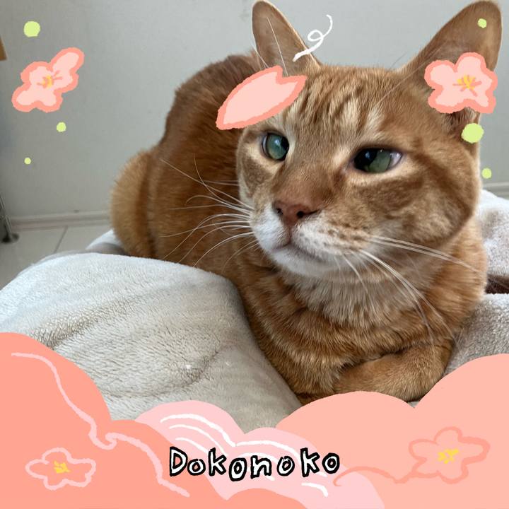 00f88bca 2548 418b 905b 4e2956b38e45 1775210400703