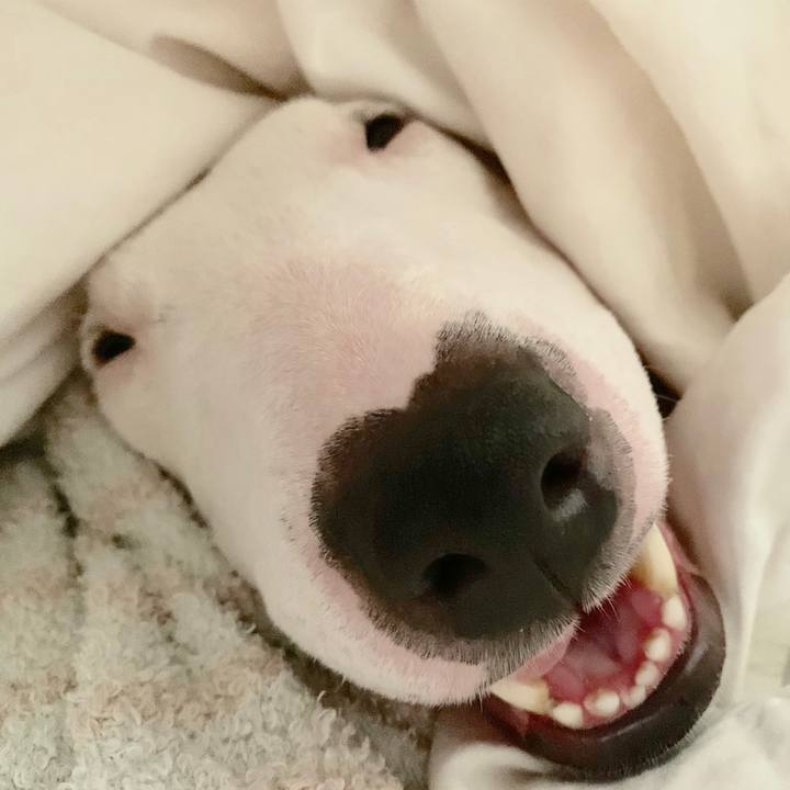 00f89826 f23c 4106 83a7 96a59ea3fcea 1563175560133