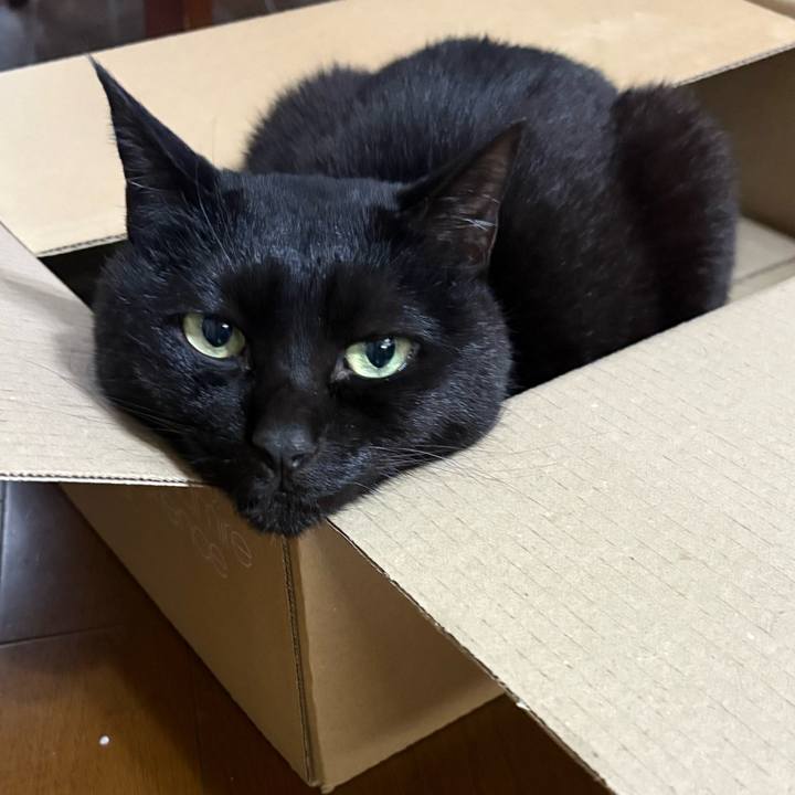 00f8bdd8 8157 448d 8f37 464b91d5a1bf 1774004425277