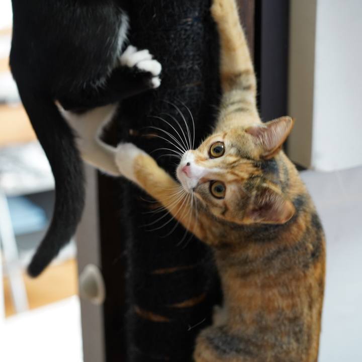 00f9071a 7d98 4463 a4e0 e4ea931350e8 1571788432301