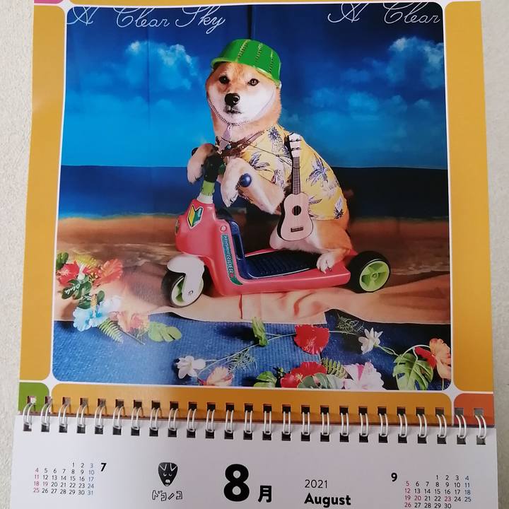 00f95b0d 6199 48c6 b773 81978f6adb1b 1627779984883