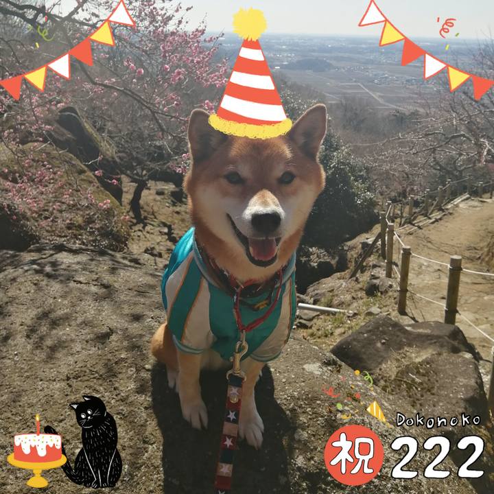 00f983fa 5096 444b b413 35a97e7ab0f7 1645528317458