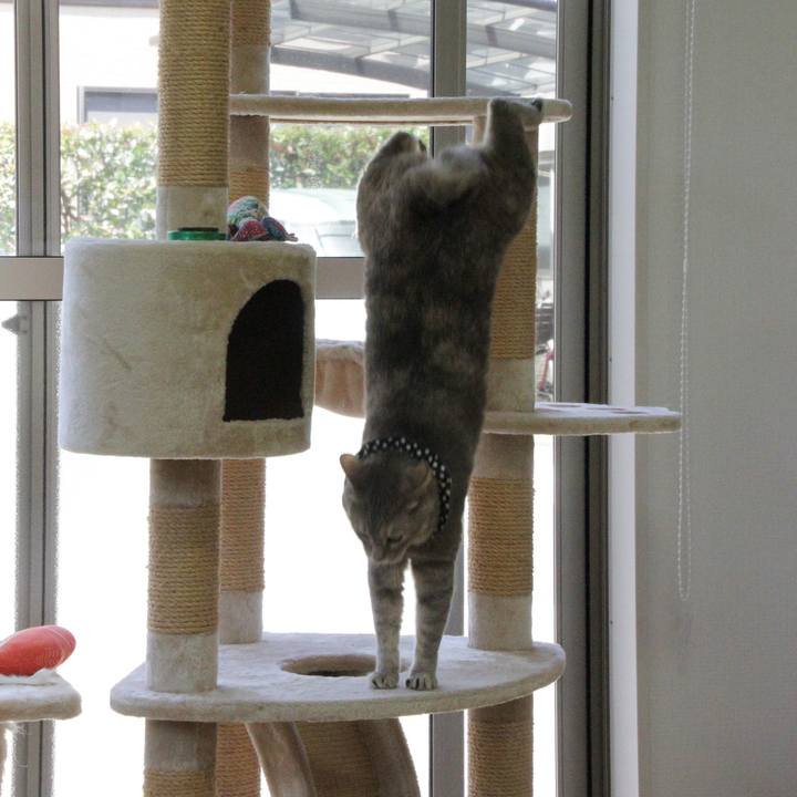 00f98a37 2048 4602 b361 c5cf6e7ff2a4 1682567474085