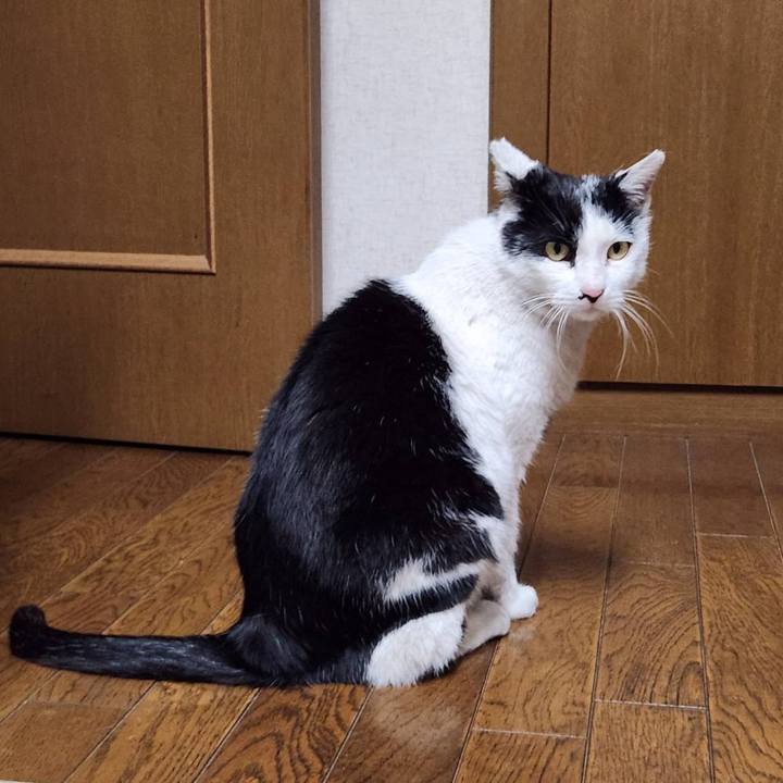 00f99e83 fd19 40cd b679 18d124efb787 1777021659793