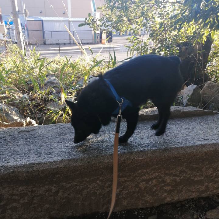 00f9c2be ff62 4d42 aaeb 375026a2f160 1611960713706