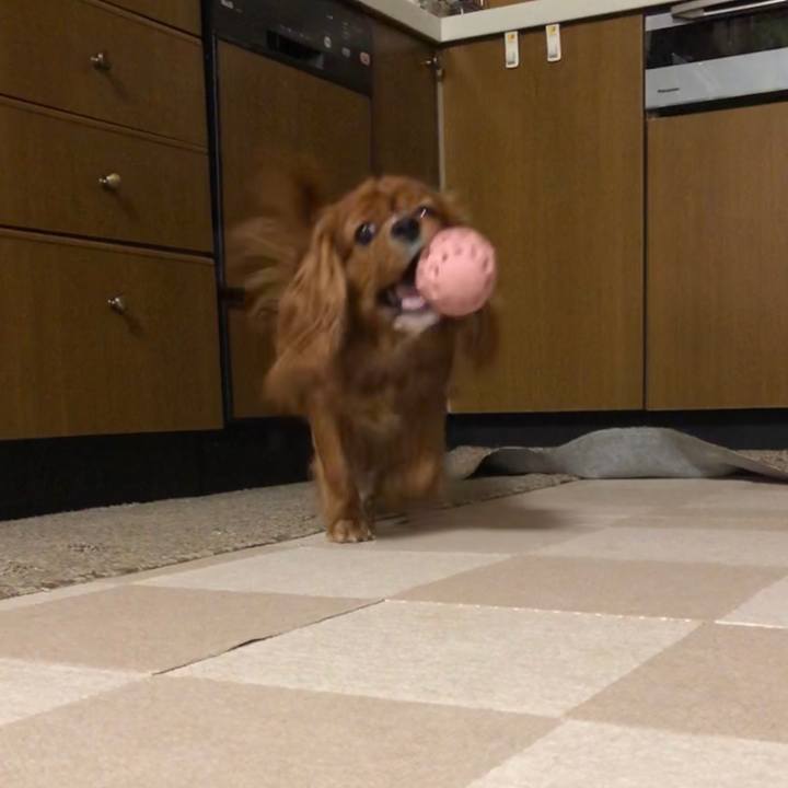 00f9caa0 f472 48f0 8fab c3712ee4627a 1597844942416