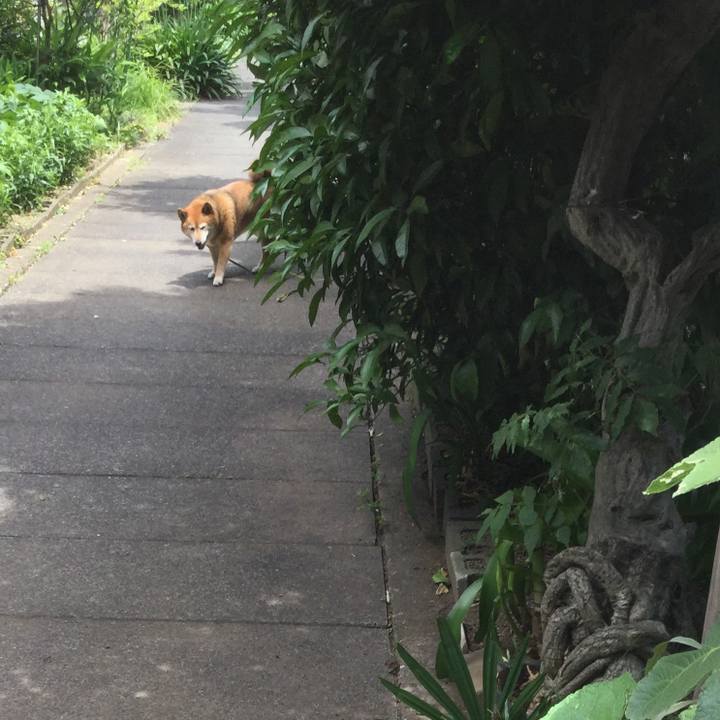 00f9d3f2 a209 4826 897d 73cd52e6729f 1591846747655