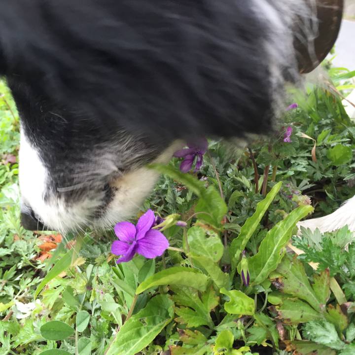 00fa3c45 21c8 4ed7 9ae0 31b32dbcdac7 1551481090793