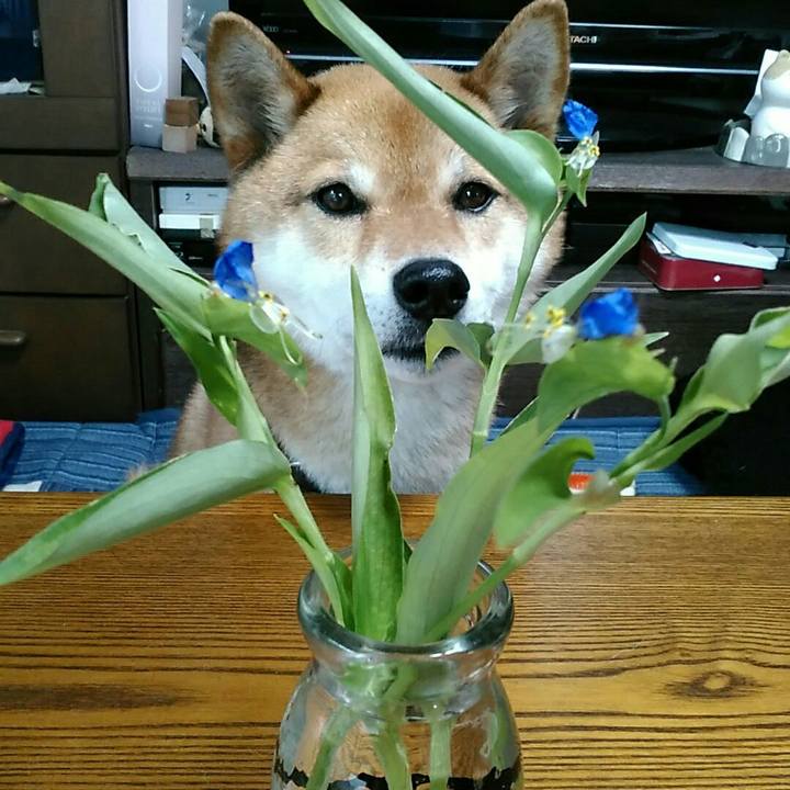 00fa55ed ce93 4031 99f2 b536f4b6f762 1563324802149