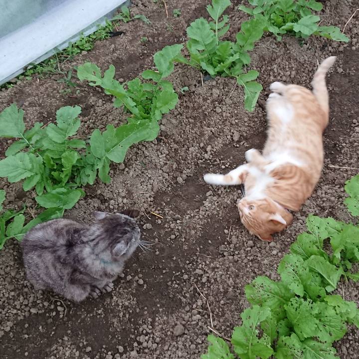 00fa5f4d c728 46d1 a566 42f7dabc60b6 1569055111490