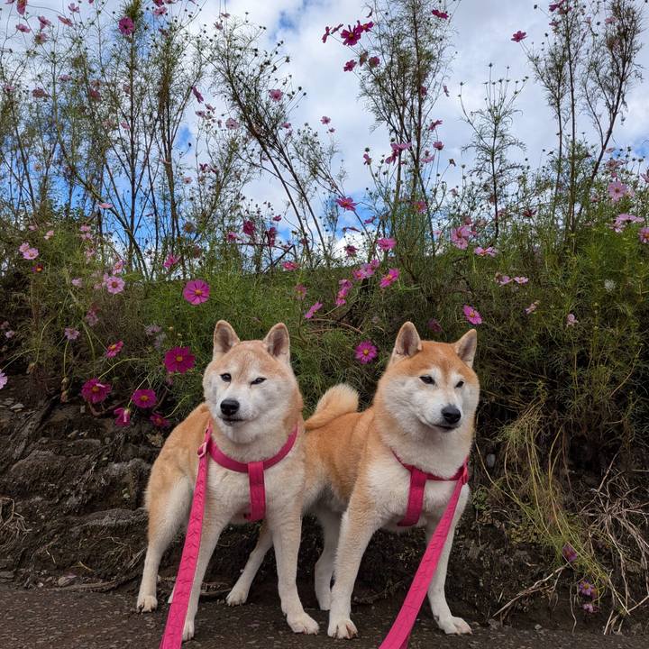 00fa98fa 7605 4e16 9bb5 d3ef5623e098 1761533159374