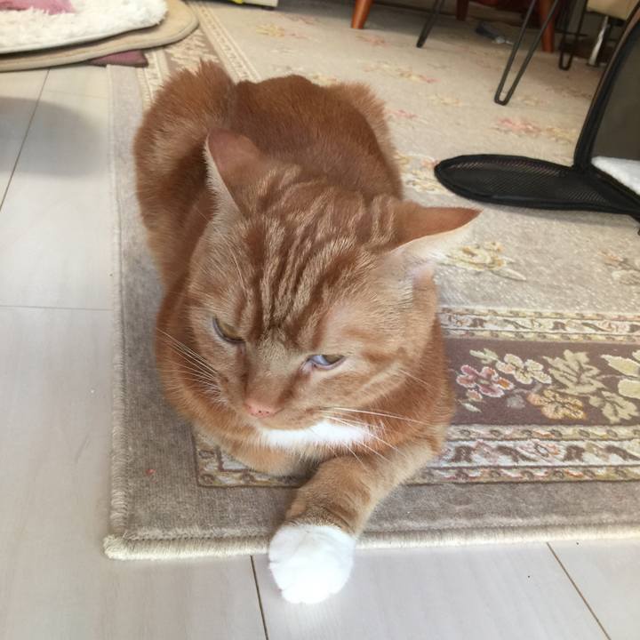 00faaef1 627d 4921 ae0a de1babdc015c 1577055804246