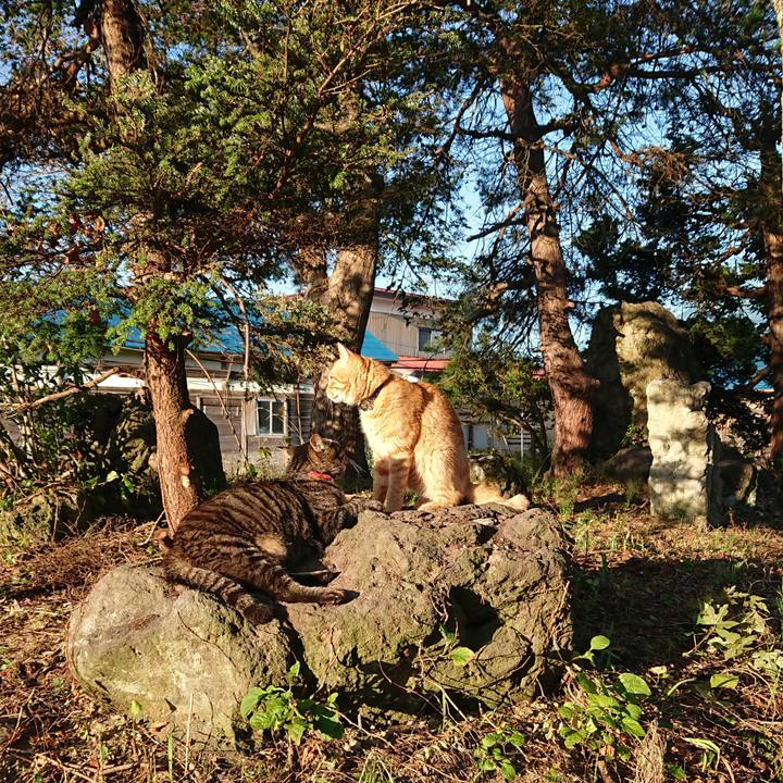 00fae1fd 26c6 476d 81c8 bfa85b542174 1659214038728