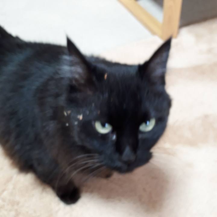 00fae2e3 e2c5 4915 a42c 5c26009eb656 1517356021364