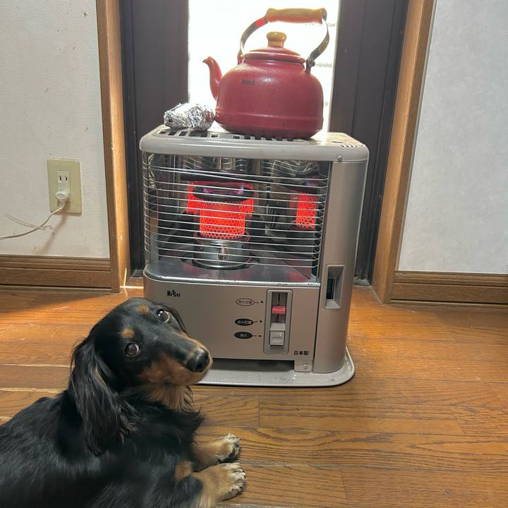 00fb15cd c632 4f0f b76e 12700388c689 1769828193684
