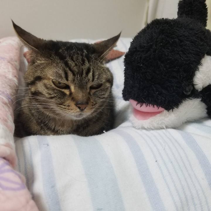 00fb5f94 9e43 491c a794 ffebd211d387 1617658348316