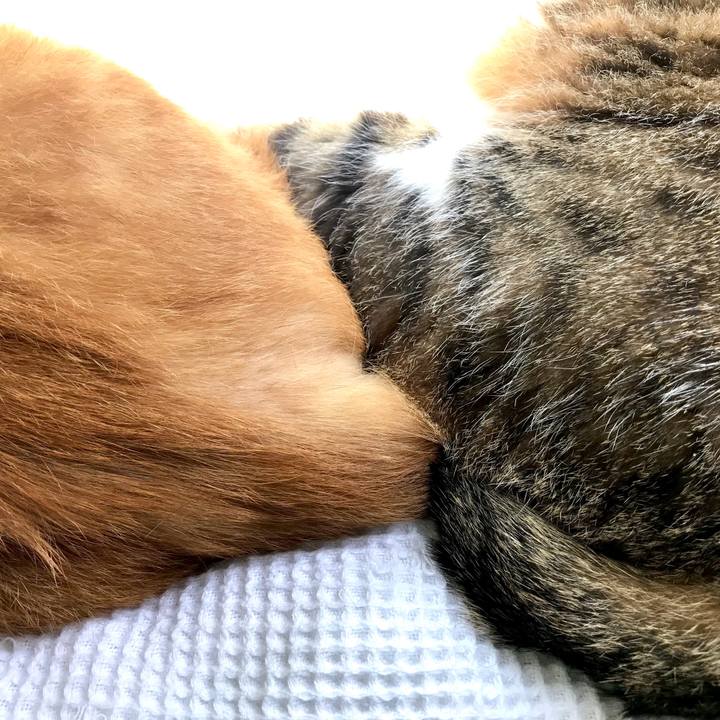 00fb6c9a c045 4973 9df5 081f896b7b5b 1561594342936