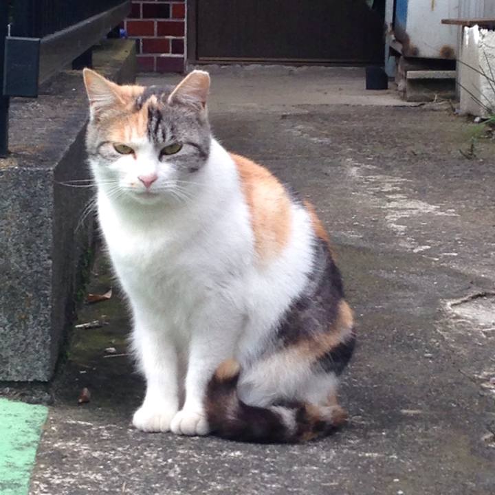 00fb80ff 943a 4958 8c4f ac92f9263b19 1510736720357