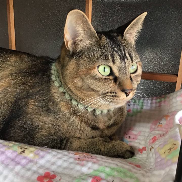 00fb9a8d 9d1a 45e7 8306 4aa30104cad6 1644108735196