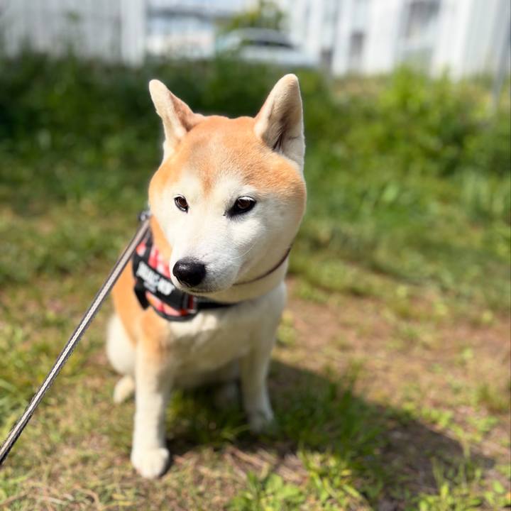 00fbbb84 c5a9 46f2 92df c5468d358d81 1748835965899