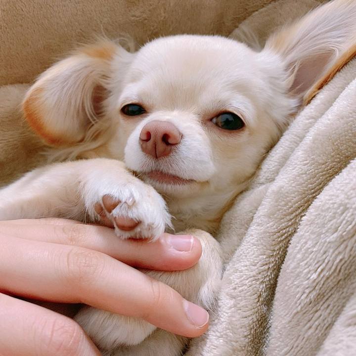 00fbc9b4 6a10 4e73 8956 c5f9e105aa2e 1611899465139