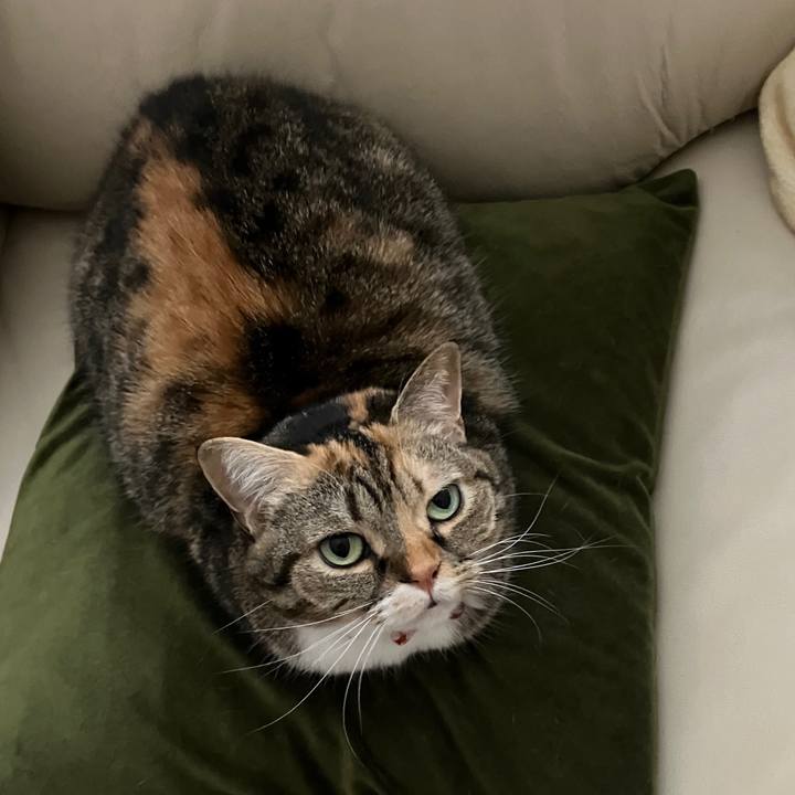 00fbf5e5 221f 4ba7 909c d8018ccfb9a9 1763511883537