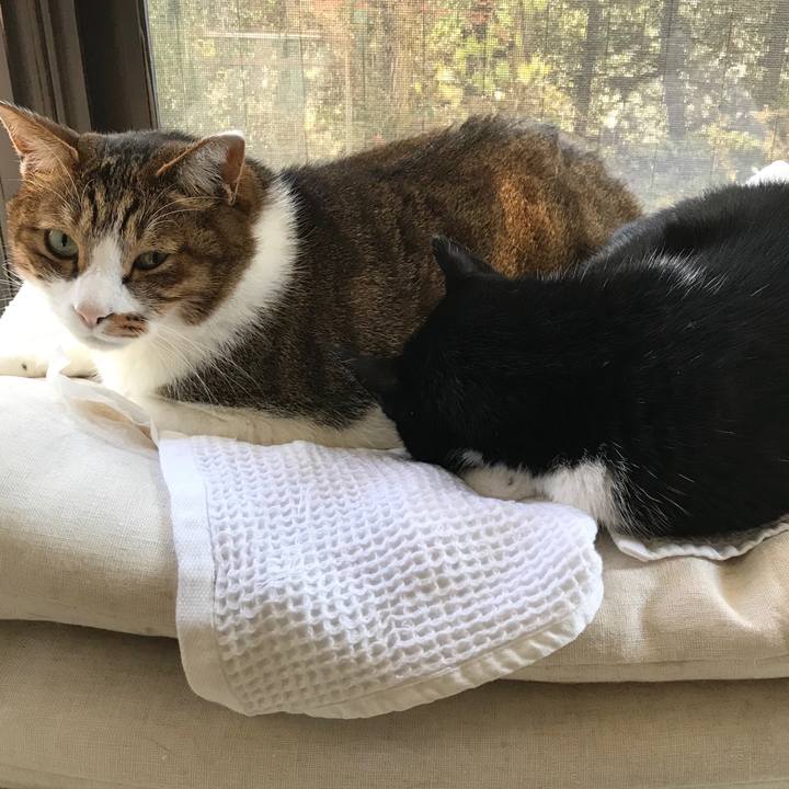 00fc0ba1 9376 4a04 a717 5db3554bfad9 1577168396794