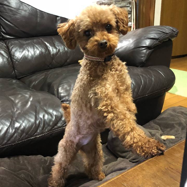 00fc0c15 4a46 4279 9338 be64769d7916 1548369311921