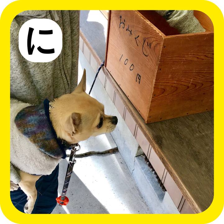 00fc11a1 3b86 412d 9283 bcbf02533d24 1514786307279