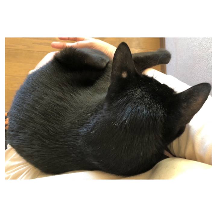 00fc17f1 e6ac 490c 9267 0cd20df8a5fa 1693614227722